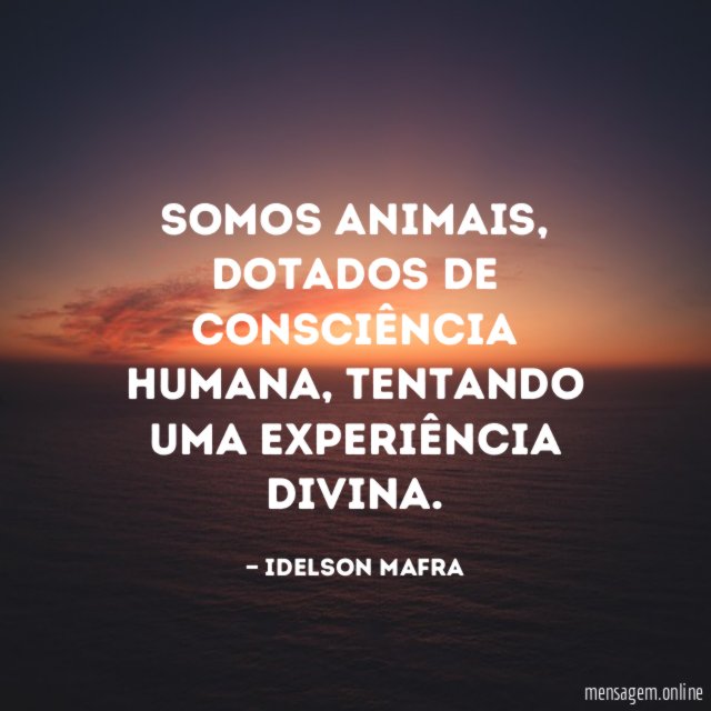 Somos animais