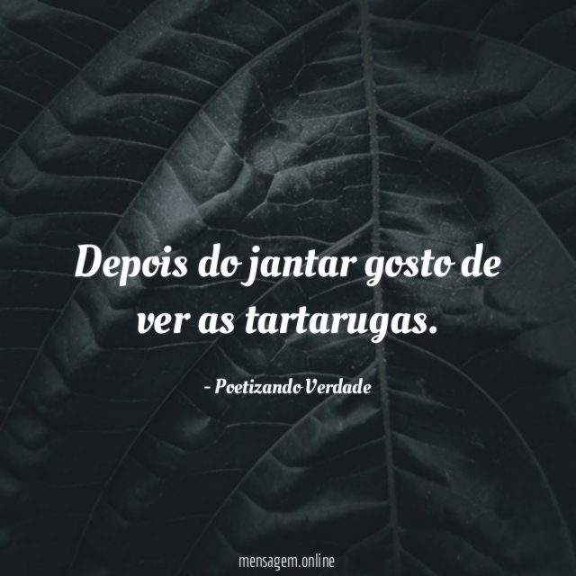 Depois do jantar gosto de ver as tartarugas