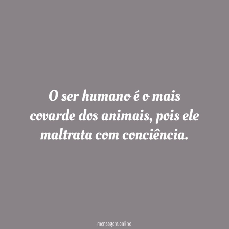 O ser humano é o mais covarde dos animais