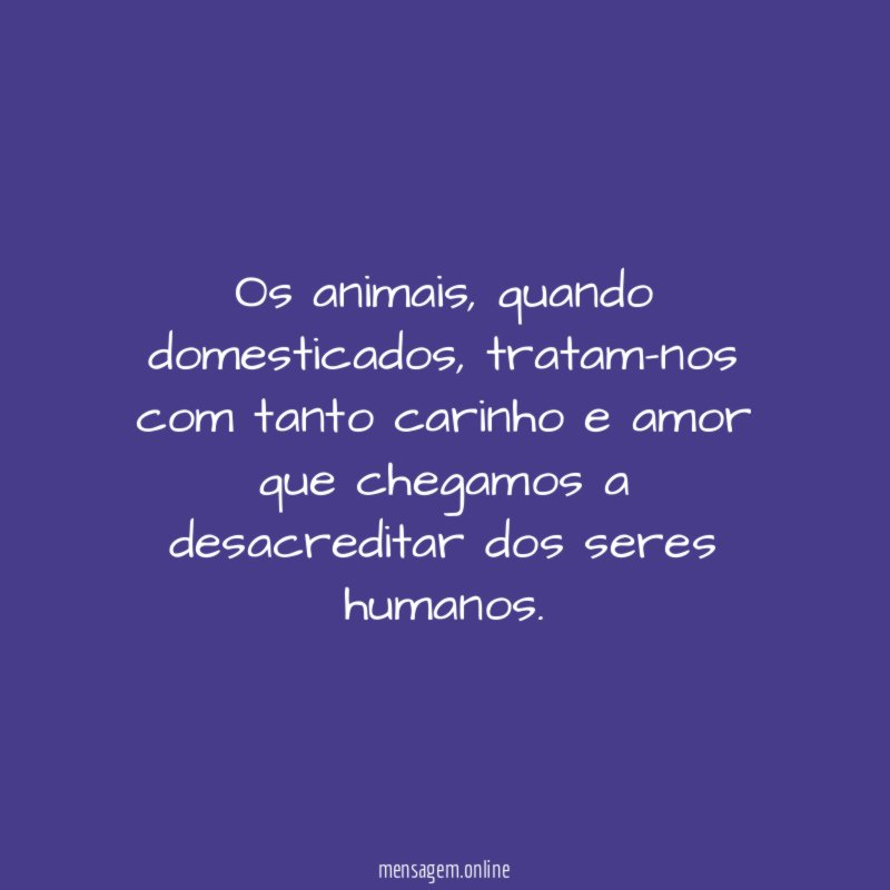 Os animais