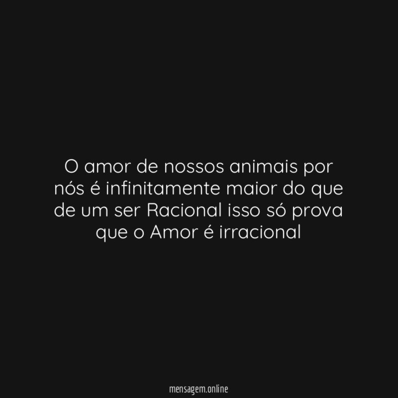 O amor de nossos animais por nós