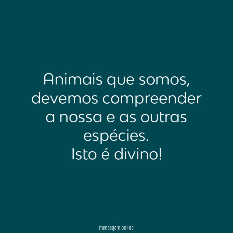 Animais que somos