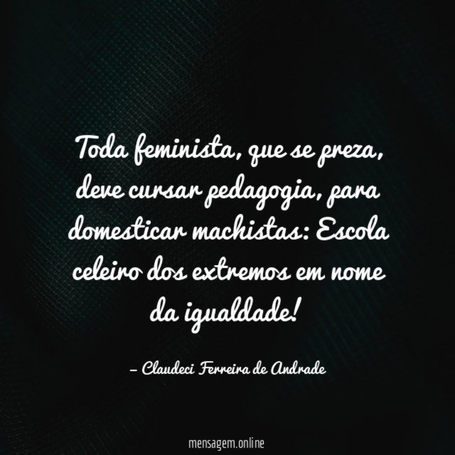 Toda feminista