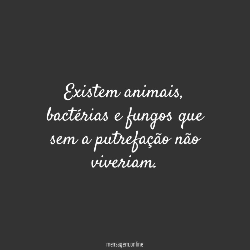 Existem animais