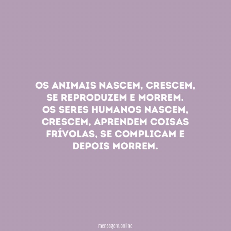 Os animais nascem