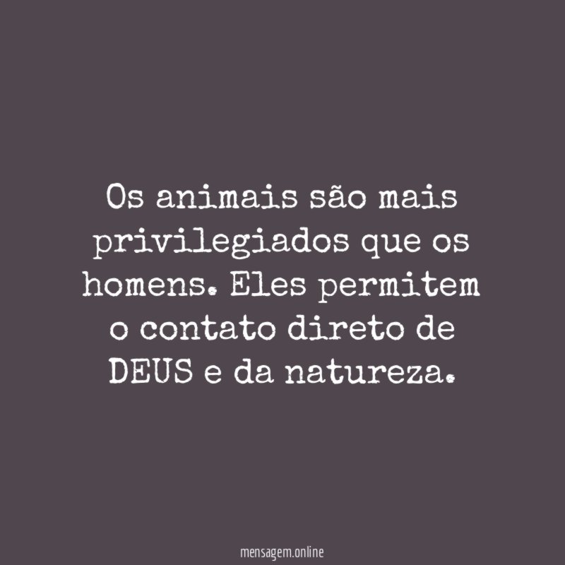 Os animais são mais privilegiados que os homens