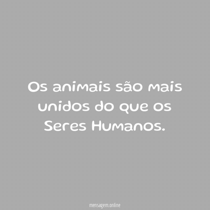 Os animais são mais unidos do que os Seres Humanos