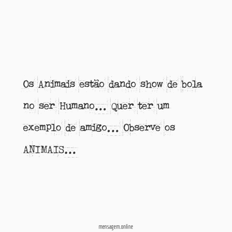 Os Animais estão dando show de bola no ser Humano