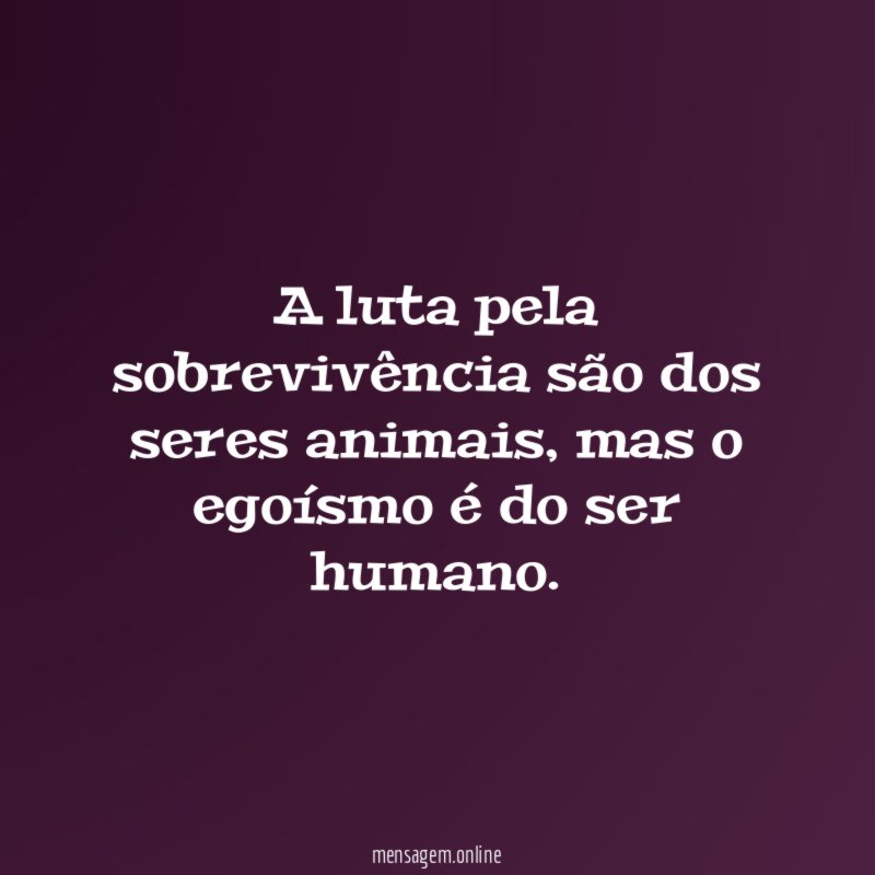 A luta pela sobrevivência são dos seres animais
