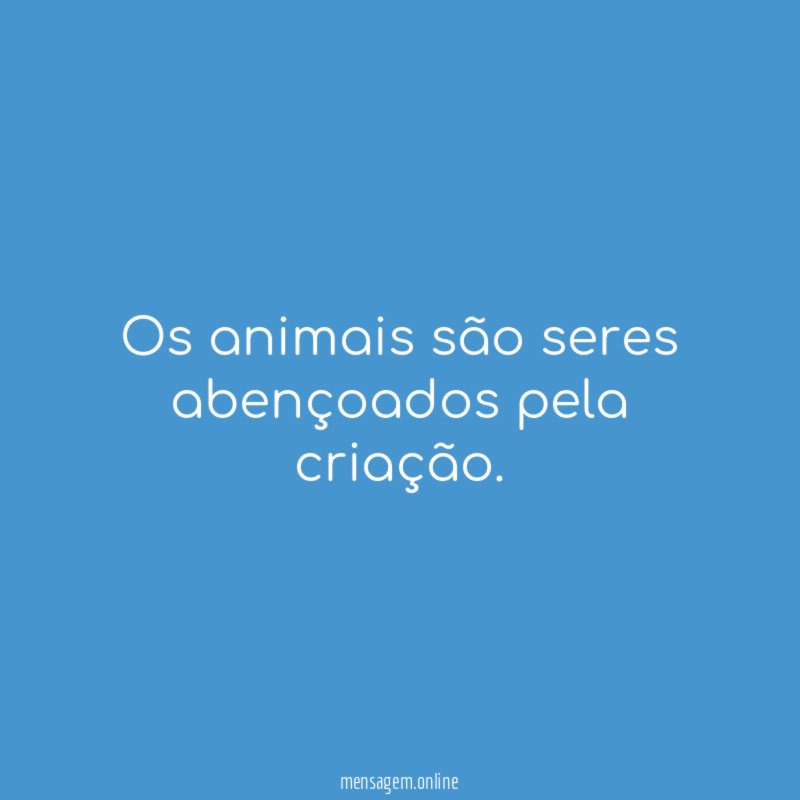 Os animais são seres abençoados pela criação