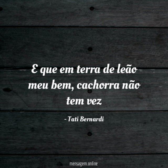 E que em terra de leão meu bem