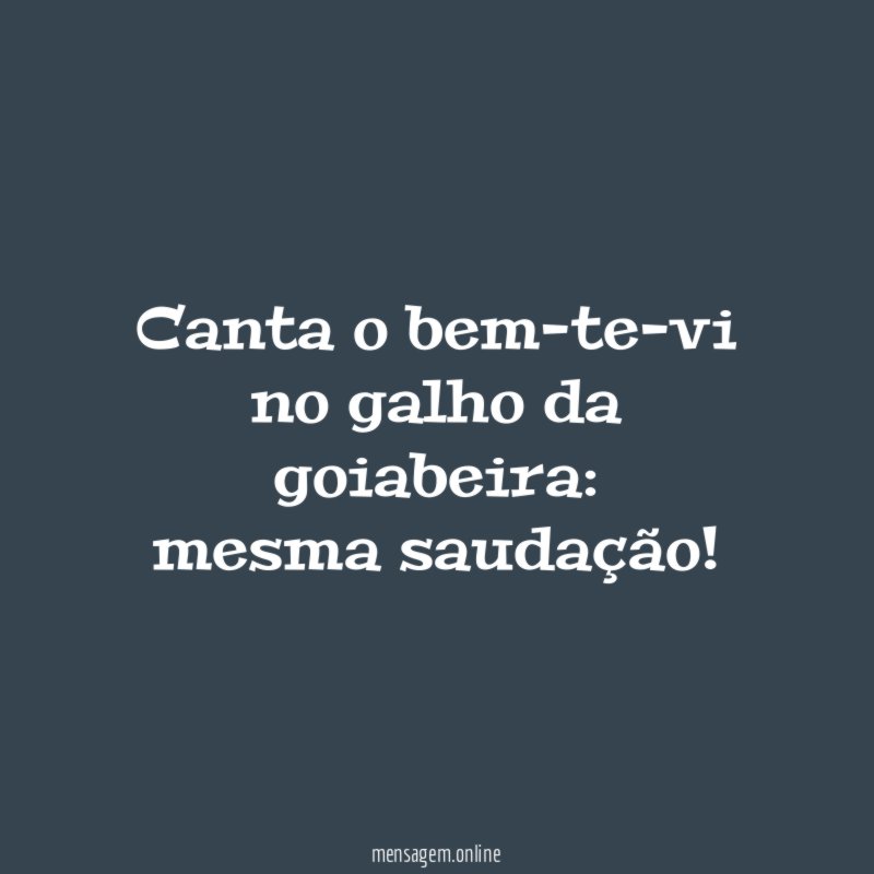 Canta o bem-te-vi no galho da goiabeira