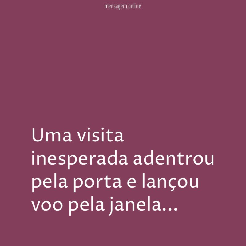 Uma visita inesperada adentrou pela porta e lançou voo pela janela