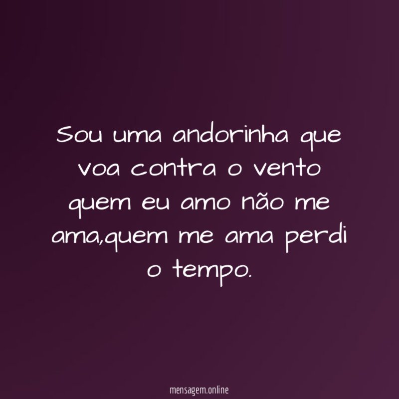 sou uma andorinha que voa contra o vento quem