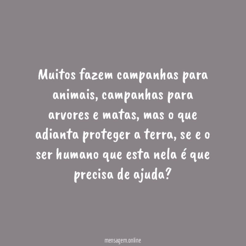 Muitos fazem campanhas para animais
