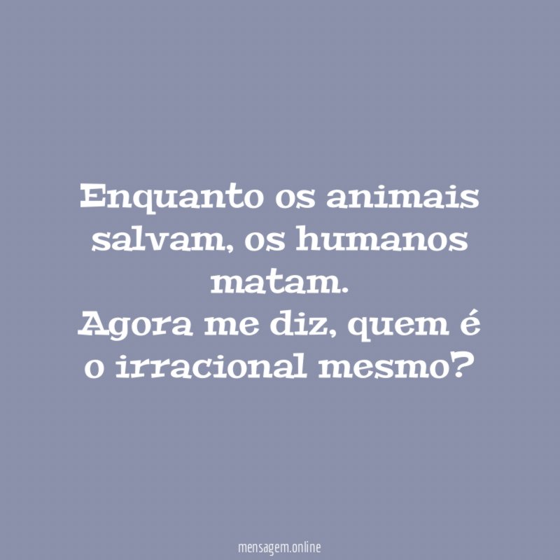 Enquanto os animais salvam