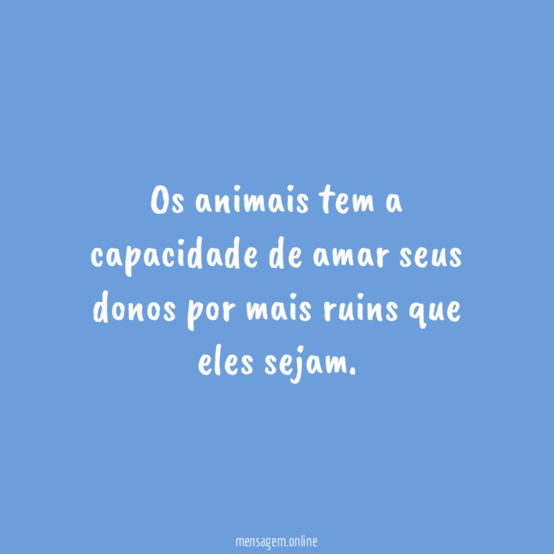 Os animais tem a capacidade de amar seus