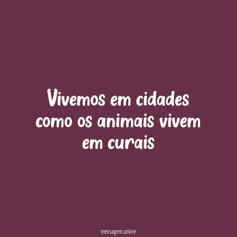 Vivemos em cidades como os animais vivem em curais