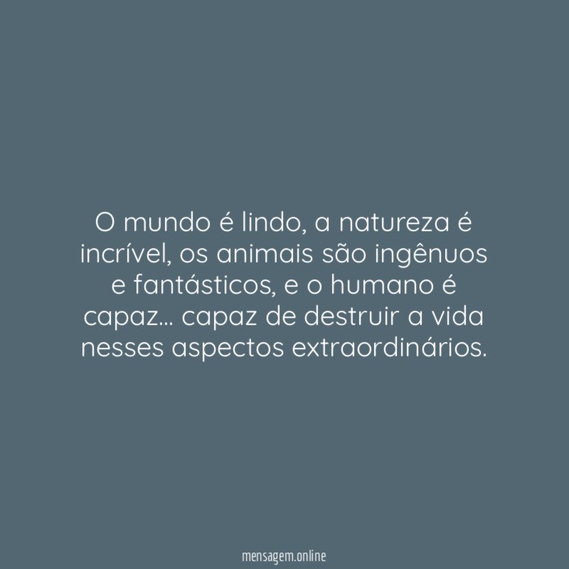 O mundo é lindo