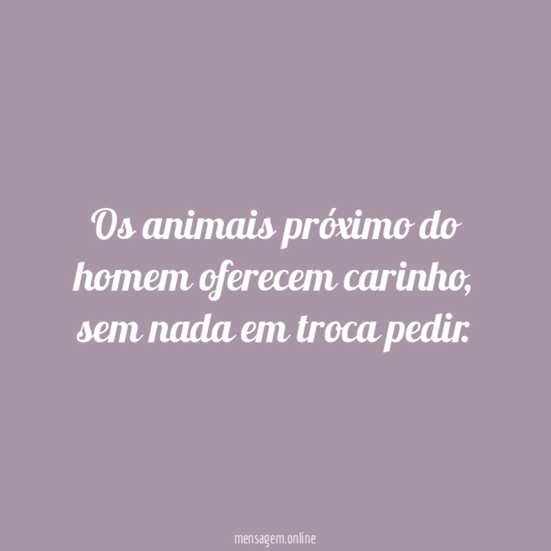 Os animais próximo do homem oferecem carinho