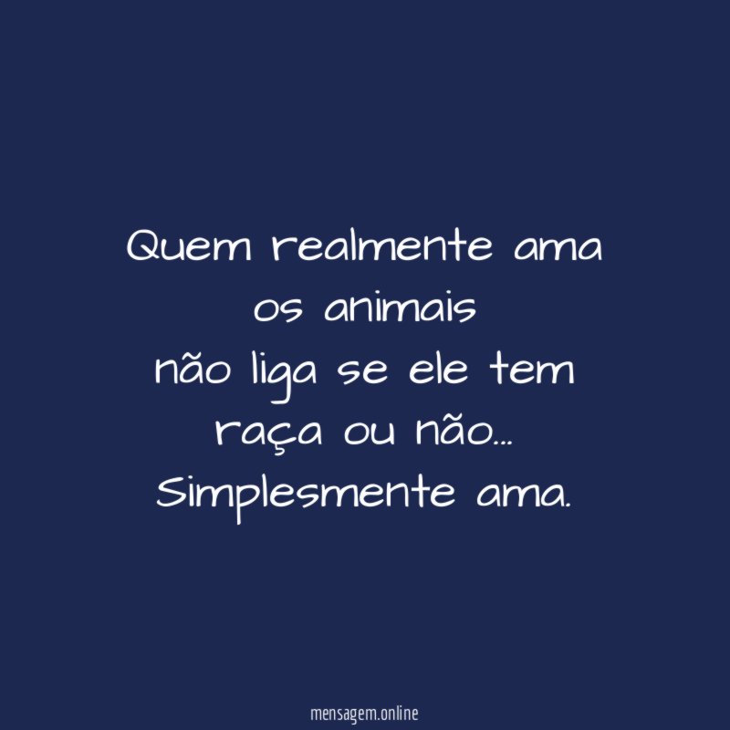 Quem realmente ama os animais não liga se ele
