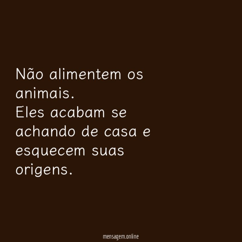 Não alimentem os animais