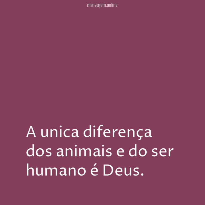 A unica diferença dos animais e do ser humano é Deus
