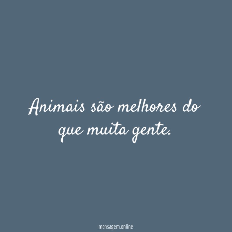 Animais são melhores do que muita gente
