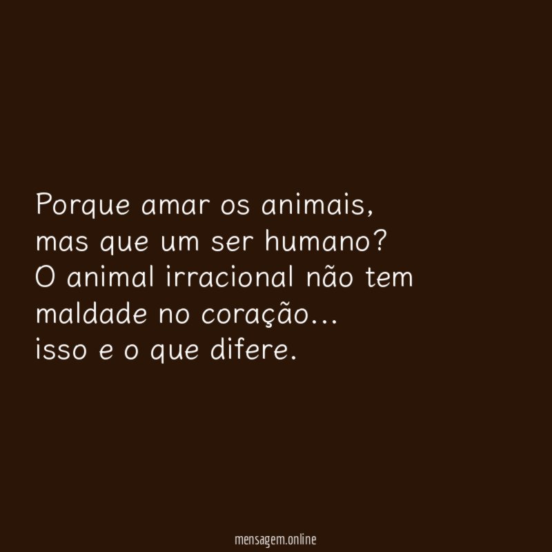 Porque amar os animais