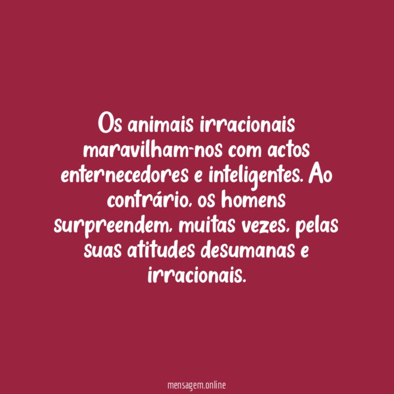 Os animais irracionais maravilham-nos com actos enternecedores e inteligentes