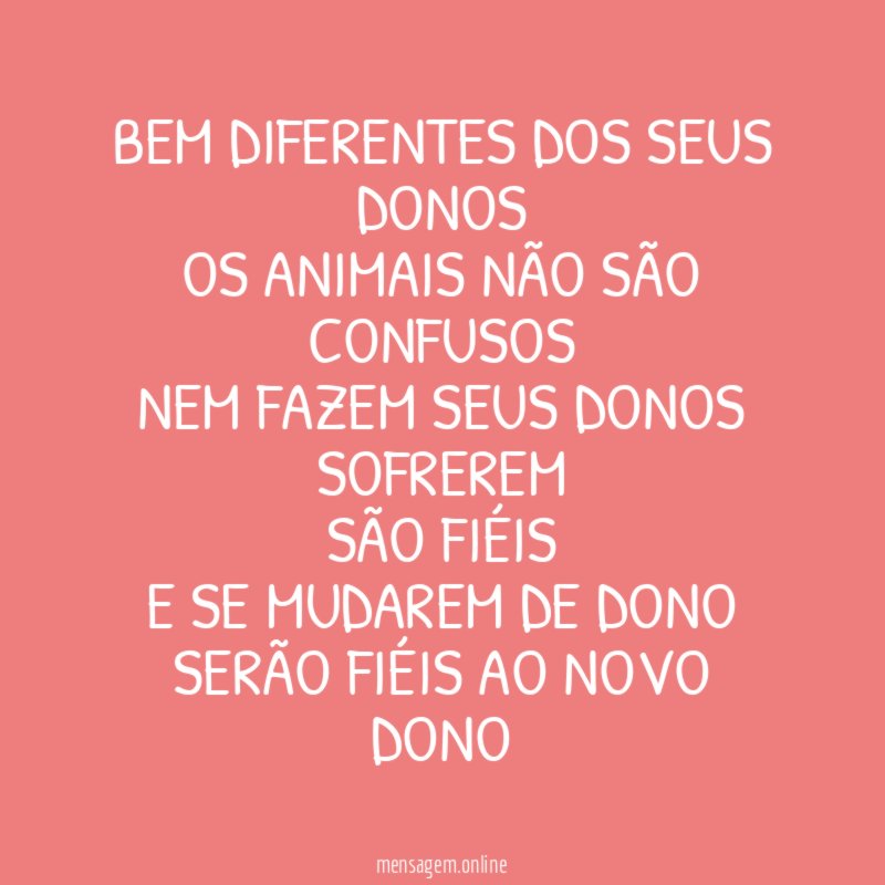 Bem diferentes dos seus donos os animais não são