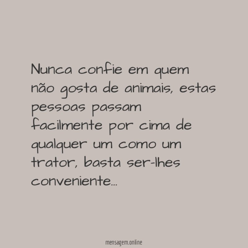Nunca confie em quem não gosta de animais
