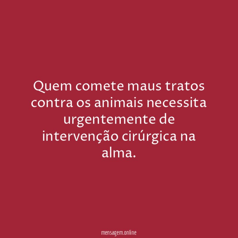 Quem comete maus tratos contra os animais necessita