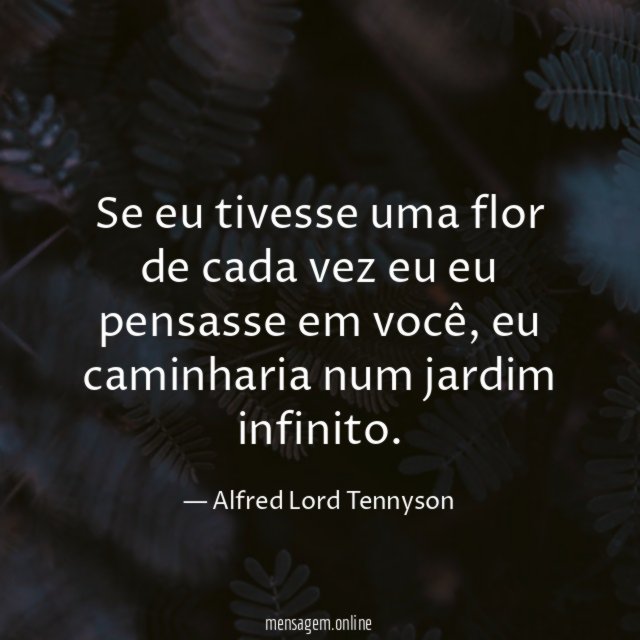 Se eu tivesse uma flor de cada vez