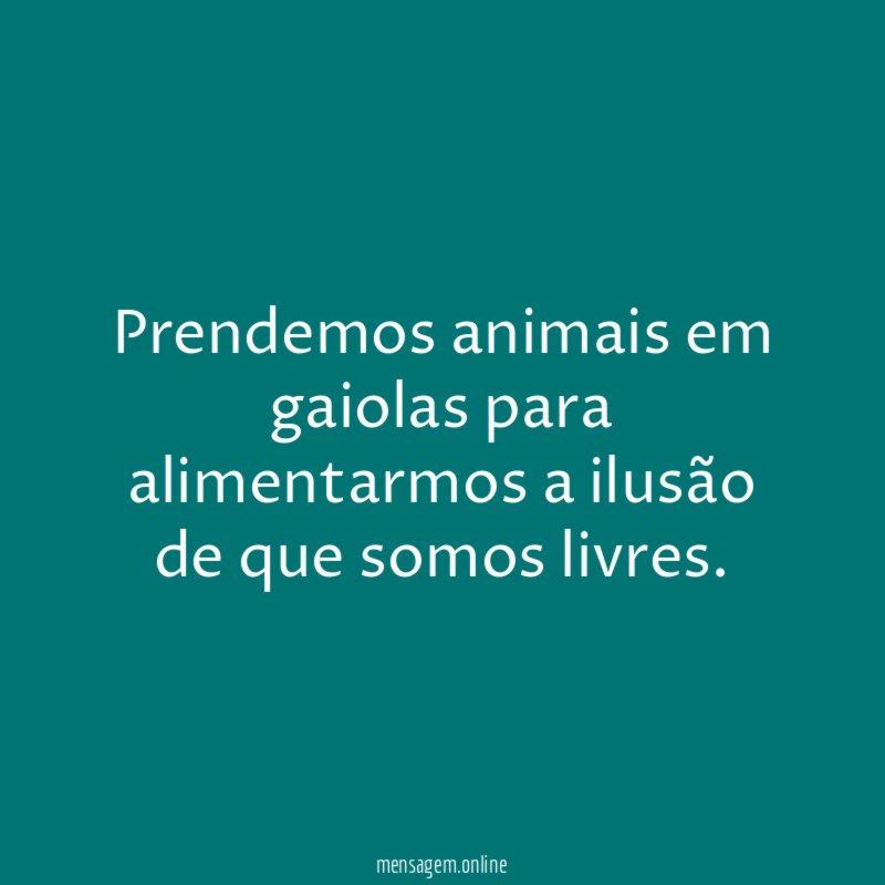 Prendemos animais em gaiolas para alimentarmos a ilusão