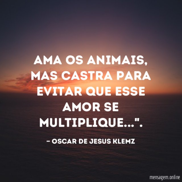 Ama os animais