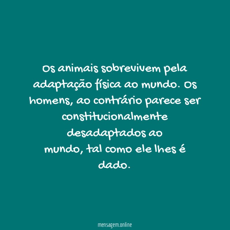 Os animais sobrevivem pela adaptação física ao mundo