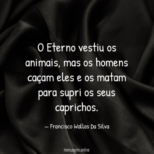O Eterno vestiu os animais