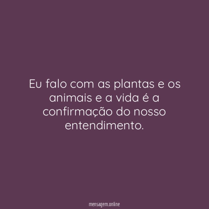 Eu falo com as plantas e os animais
