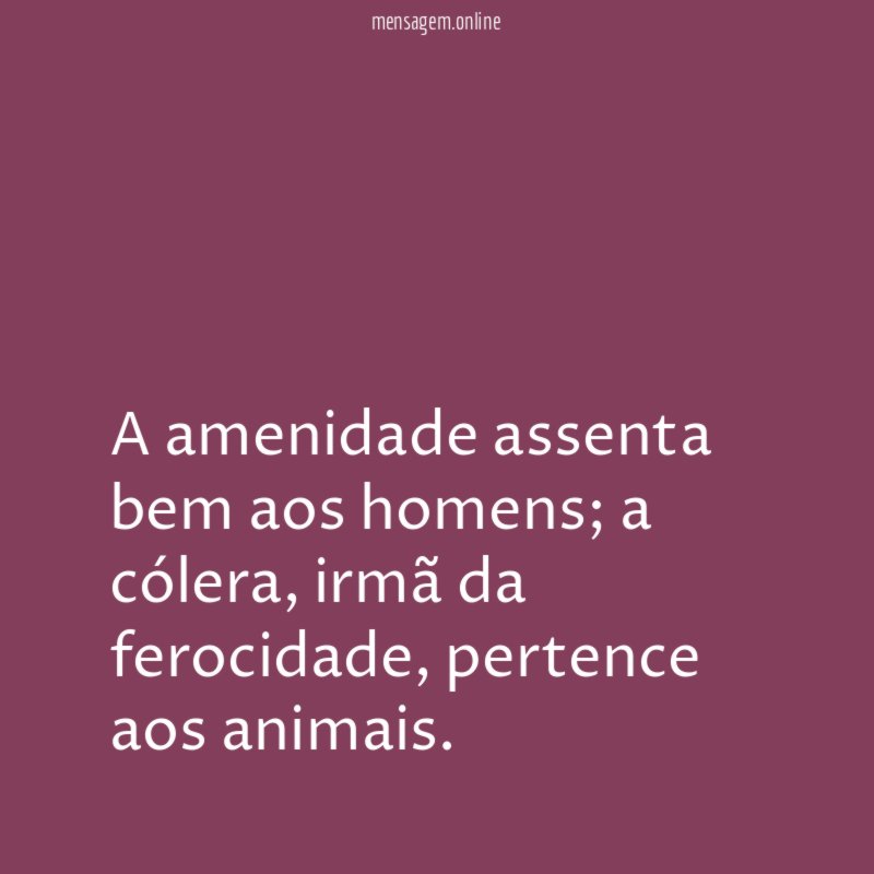 A amenidade assenta bem aos homens