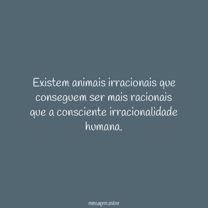 Existem animais irracionais que conseguem ser mais racionais