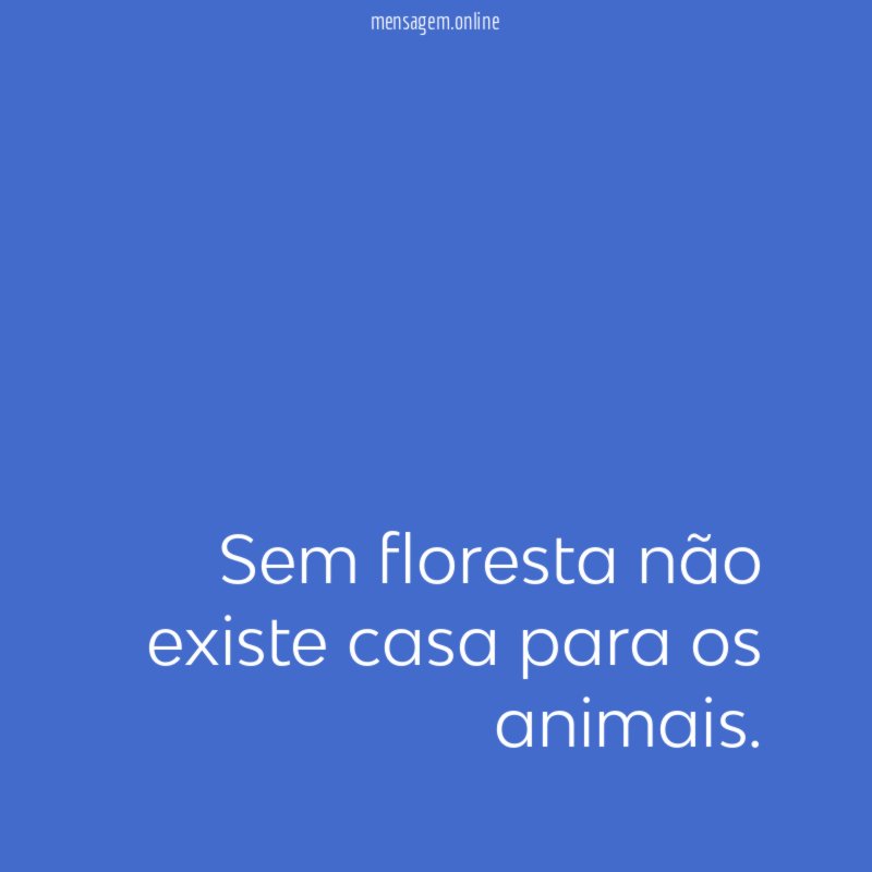 Sem floresta não existe casa para os animais