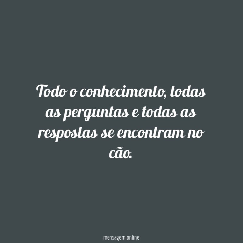 Todo o conhecimento