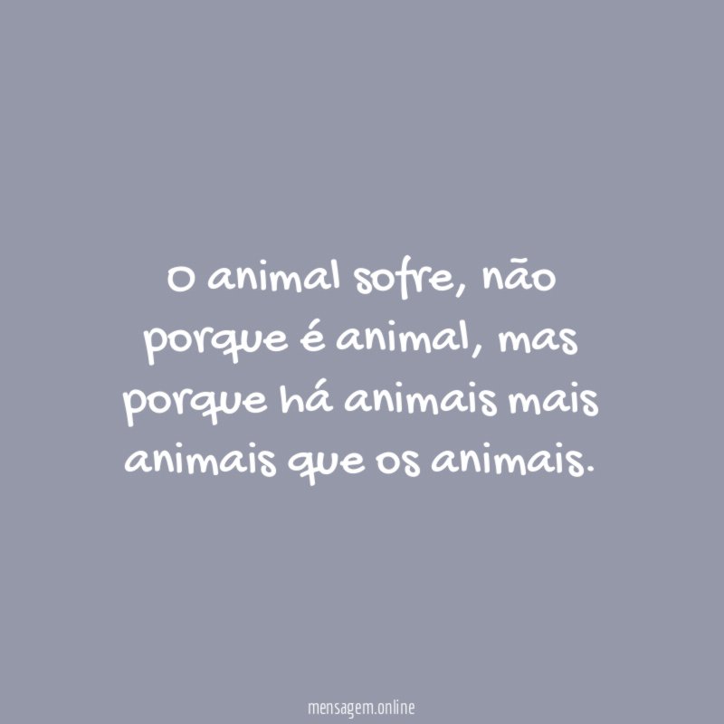O animal sofre