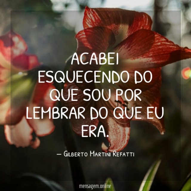 ACABEI ESQUECENDO DO QUE SOU POR LEMBRAR DO QUE EU ERA