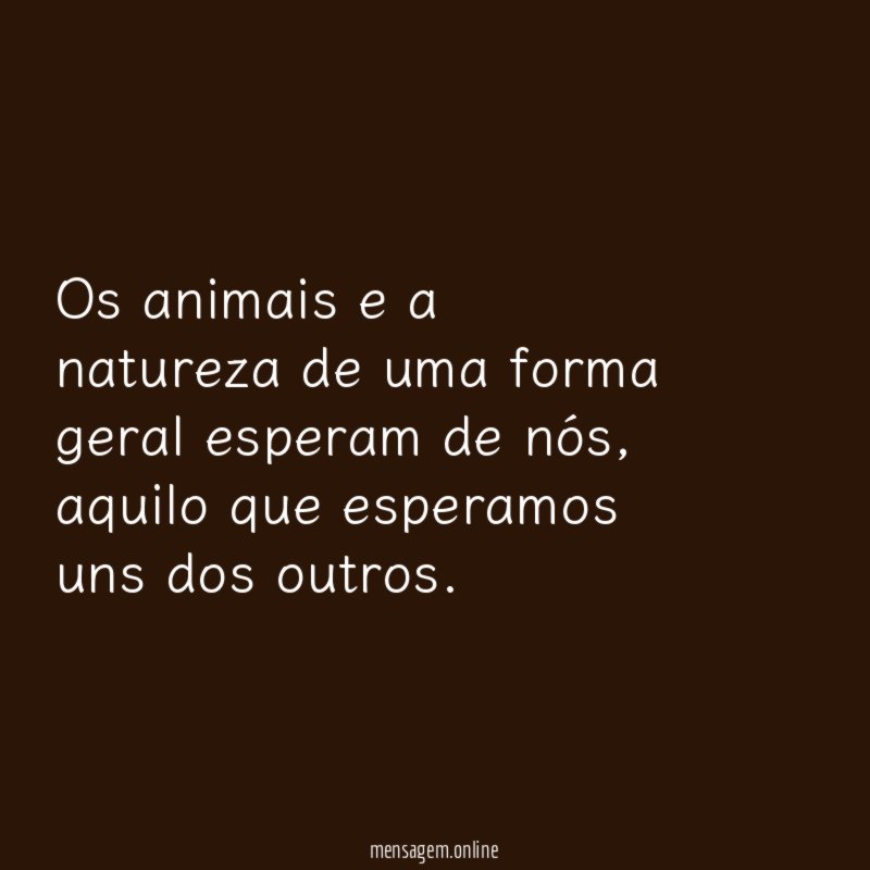 Os animais e a natureza de uma forma