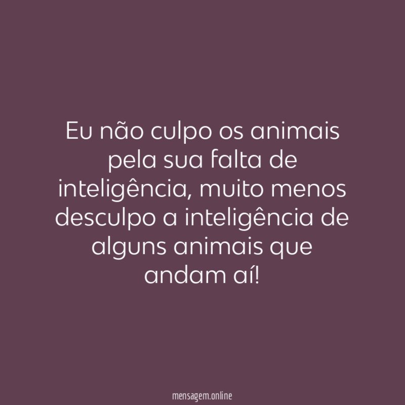 Eu não culpo os animais pela sua falta de inteligência