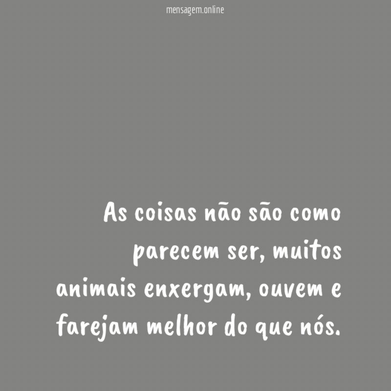 As coisas não são como parecem ser