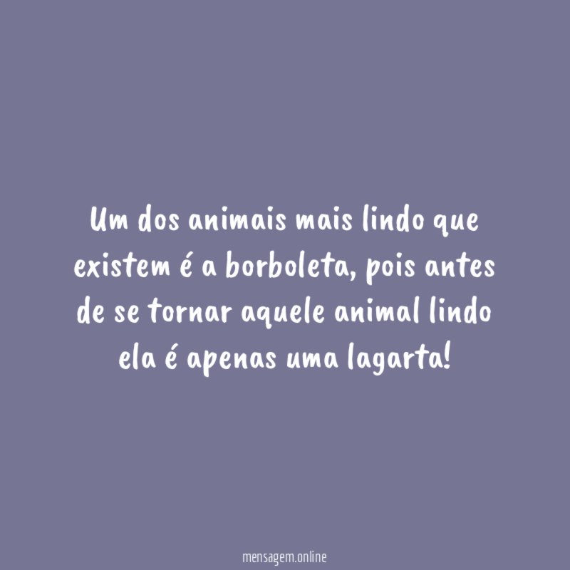Um dos animais mais lindo que existem é a borboleta