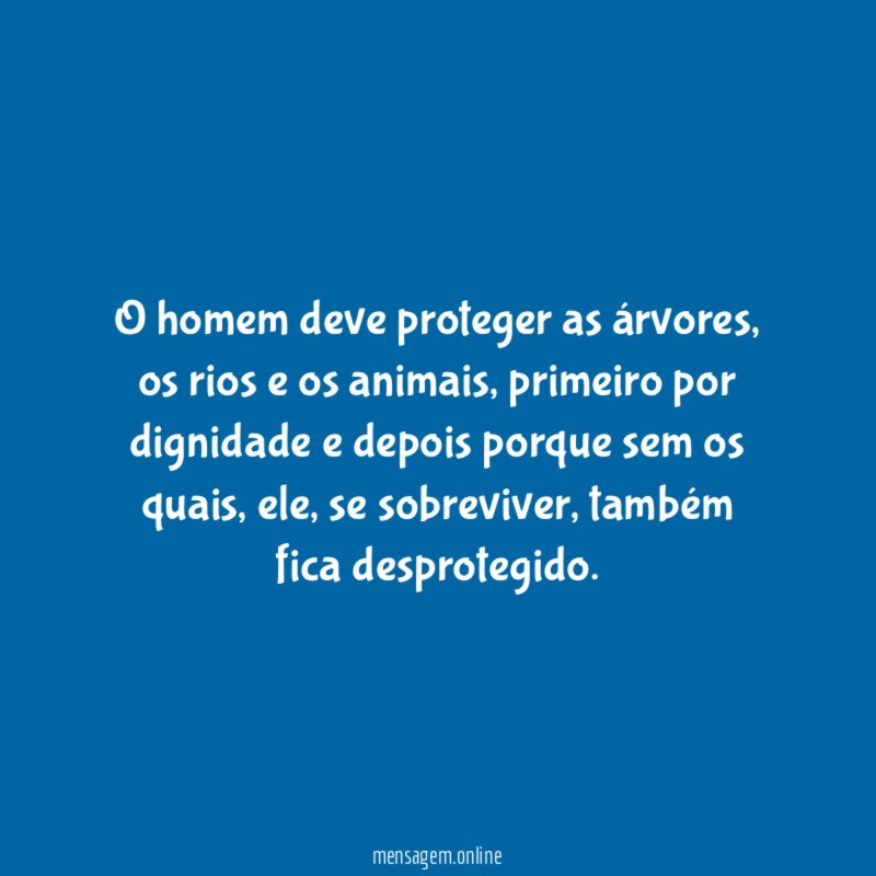 O homem deve proteger as árvores